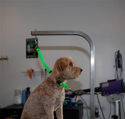 LupinePet® Grooming Loops