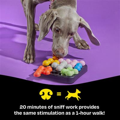 Brightkins™ Kanoodle Dog Edition (Small)