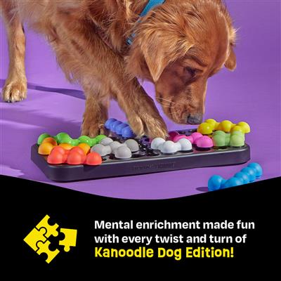 Brightkins™ Kanoodle Dog Edition (Large)