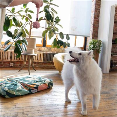 Small Durable Rope Dog Toy - Pink - Cotton Rope With Handle For Interactive Play And Exercise