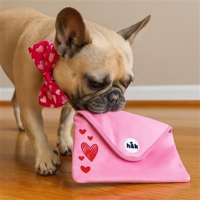 Seek 'n Treat Ruff Letter