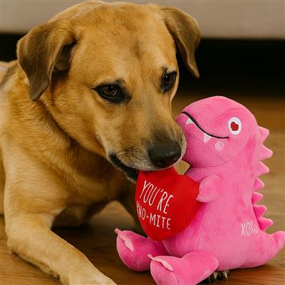 You're Dino-Mite Dog Toy