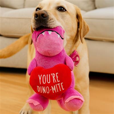 You're Dino-Mite Dog Toy