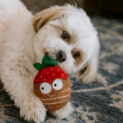Tiny Tuff Chocolate Covered Strawberry