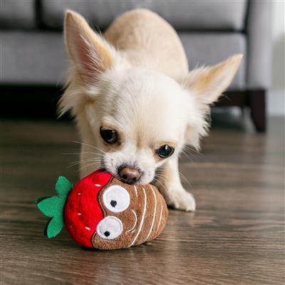 Tiny Tuff Chocolate Covered Strawberry
