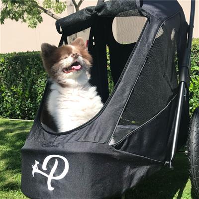 Black Breeze Pet Jogger with Tire Pump