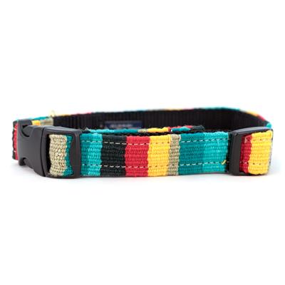 a tail we could wag At the Beach Collars