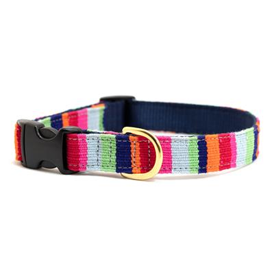 a tail we could wag At the Beach Collars