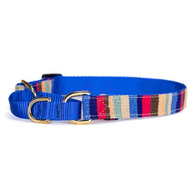 a tail we could wag At the Beach Martingales