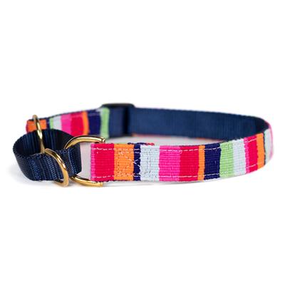 a tail we could wag At the Beach Martingales