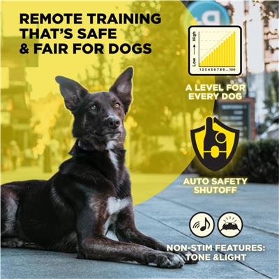 200IQ 1-DOG UNIT 1/2 Mile