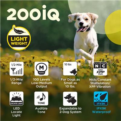 200IQ 2-DOG UNIT      NEW 2025