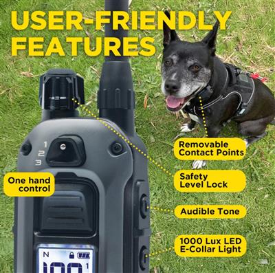 280X 2-DOG UNIT