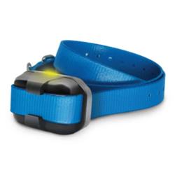 Extra Product Image