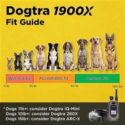Extra Product Image