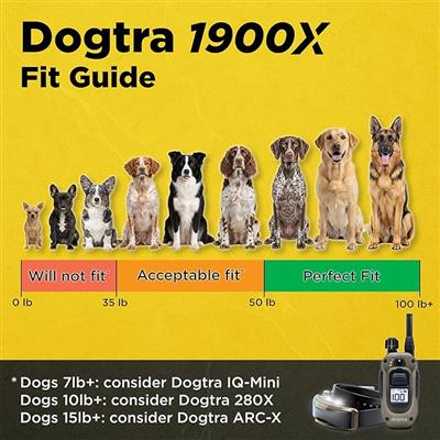 1900X 1-DOG UNIT