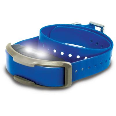 1900X ADDITIONAL RECEIVER BLUE