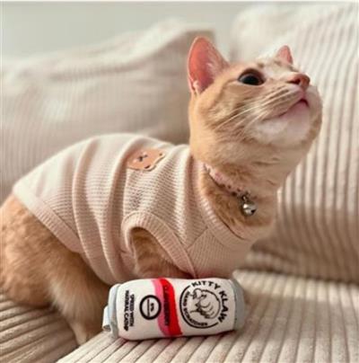 Kitty Klaw Clawberry Plush Cat Toy