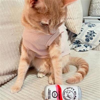 Kitty Klaw Clawberry Plush Cat Toy