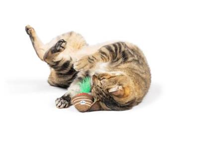 Chocolate Strawberry Cat Toy