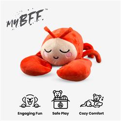 Extra Product Image