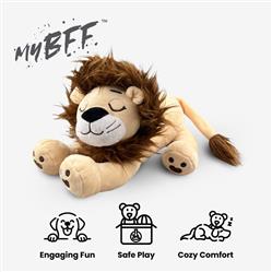 Extra Product Image