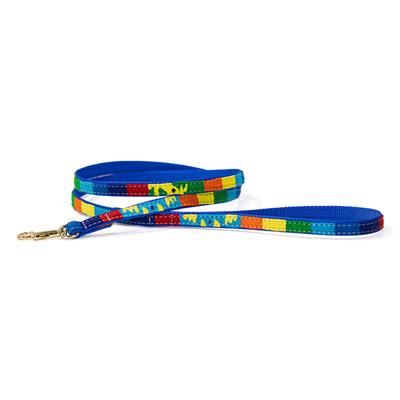 Fiesta Leashes