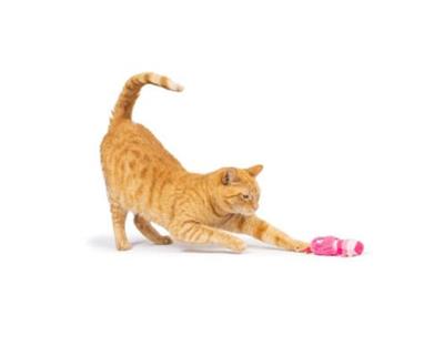 Love Bugs 2pk Plush Cat Toy