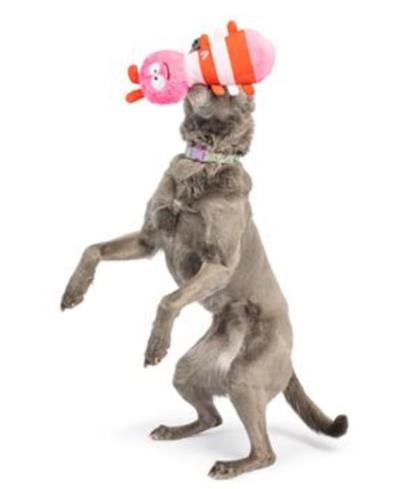 Fetchies® Love Bug Dog Toy