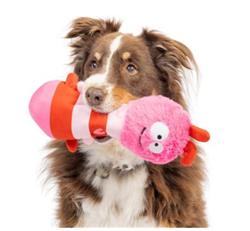 Extra Product Image