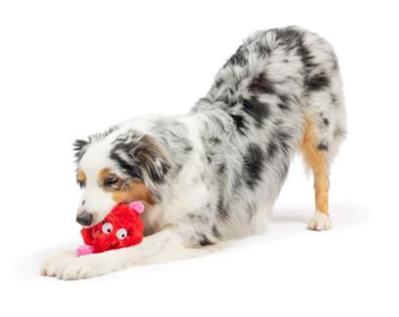Fur Bug Dog Toy