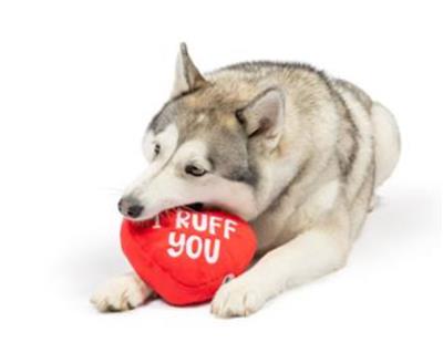 First Lick Heart Dog Toy