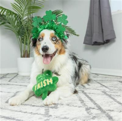 Lick Me Shamrock Dog Toy