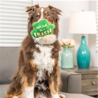 Lick Me Shamrock Dog Toy