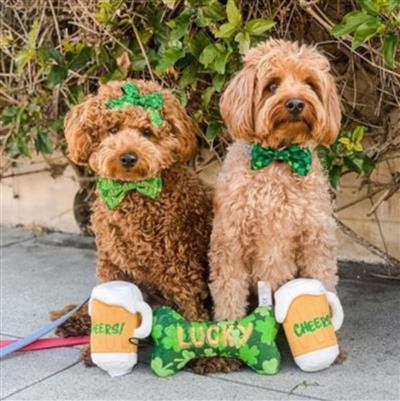 Lucky Charm Bone Dog Toy