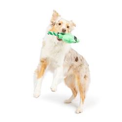 Extra Product Image