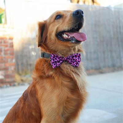 Pink Leopard Bow Tie