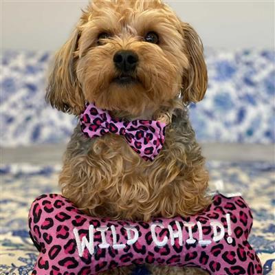 Pink Leopard Bow Tie