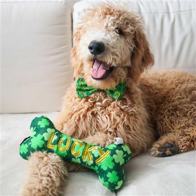 Lucky Charm Bow Tie