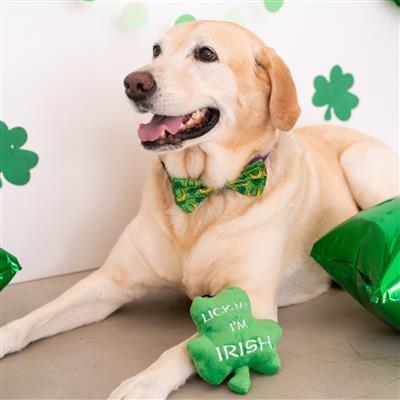 Lucky Charm Bow Tie