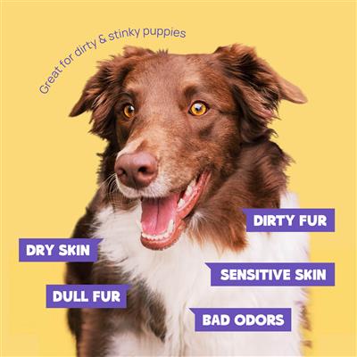 HICC Pet® Deodorizing Glove Wipes, Rose-Scented (3-Pack Set, 6 Gloves/Pack)