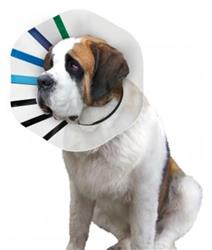 KONG E-Collar Clear/Blue/Black 1ea/King