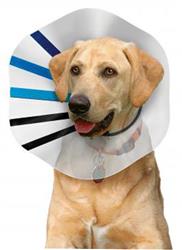 KONG E-Collar Clear/Blue/Black 1ea/XL