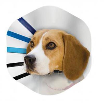 KONG E-Collar Clear/Blue/Black 1ea/LG