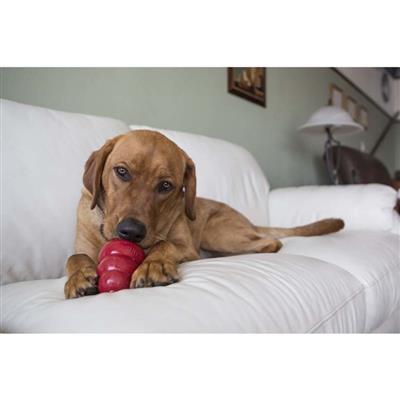 KONG Stuff'N Snacks Dog Treats Bacon & Cheese 1ea/SM, 8 oz