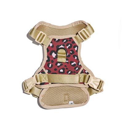 Safari Sport Harness Leopard