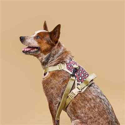 Safari Sport Harness Leopard