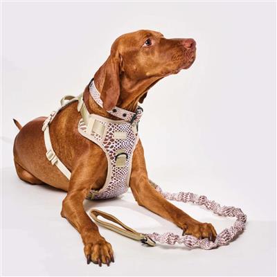 Safari Sport Harness Snake