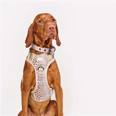 Collar Safari Snake