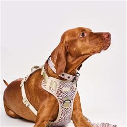 Extra Product Image